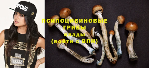 прущий лед Михайловка