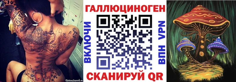 Купить закладки  Кувшиново  Галлюциногенные грибы Psilocybine cubensis 
